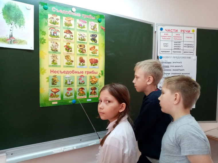 ДЕНЬ ЭКОЛЯТ.